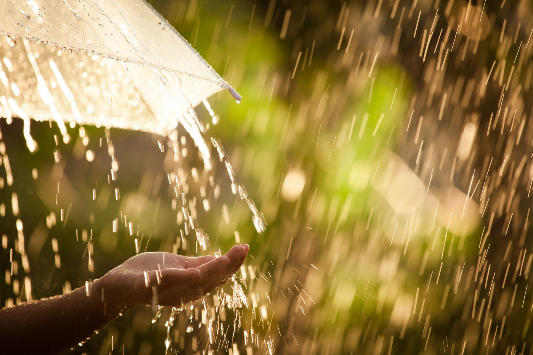 雨季來臨！！還在為房屋滲漏水煩惱